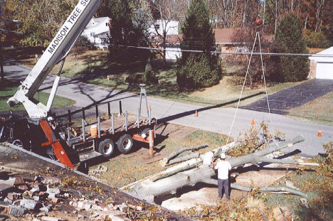 Storm Damage Tree Removal